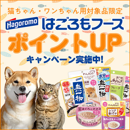 hagoromo